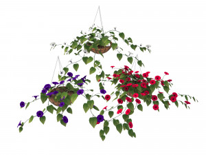 flower petunia Model 3D