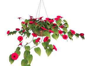 फूल पेटूनिया 3D मॉडल