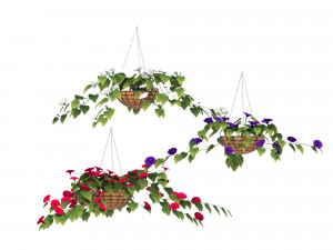 flower petunia Model 3D
