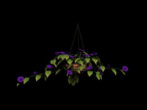 flower petunia Model 3D