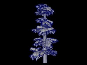 Groups of snow trees 3D Model