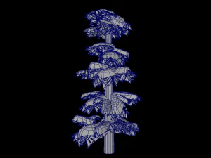 Groups of snow trees 3D Model