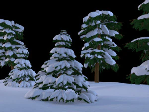 Groups of snow trees 3D Model