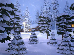 Группы снежных деревьев 3D Модель