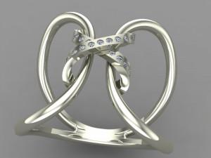 x-ring 3Dモデル