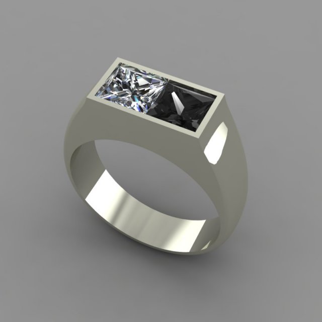 ring black white Model 3D .c4d .max .obj .3ds .fbx .stl .blend
