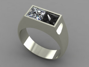 ring black white 3D Model