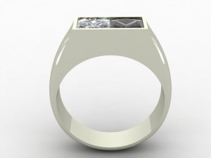 ring black white Model 3D