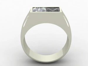 ring black white 3D Model