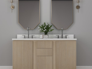 double vanity set 3D 模型