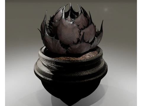 AgabeRiotail Model 3D