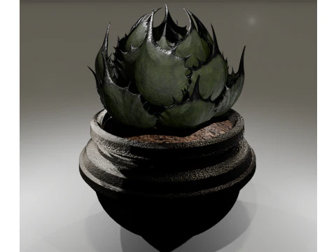 AgabeRiotail 3D Model