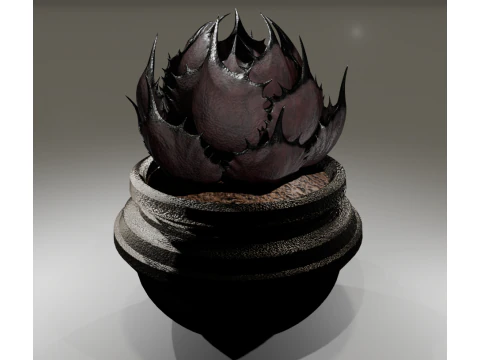 AgabeRiotail 3D Model