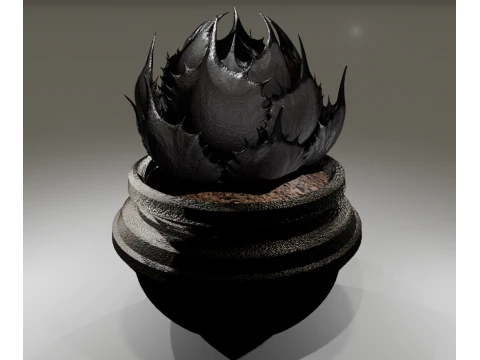 AgabeRiotail 3D Model