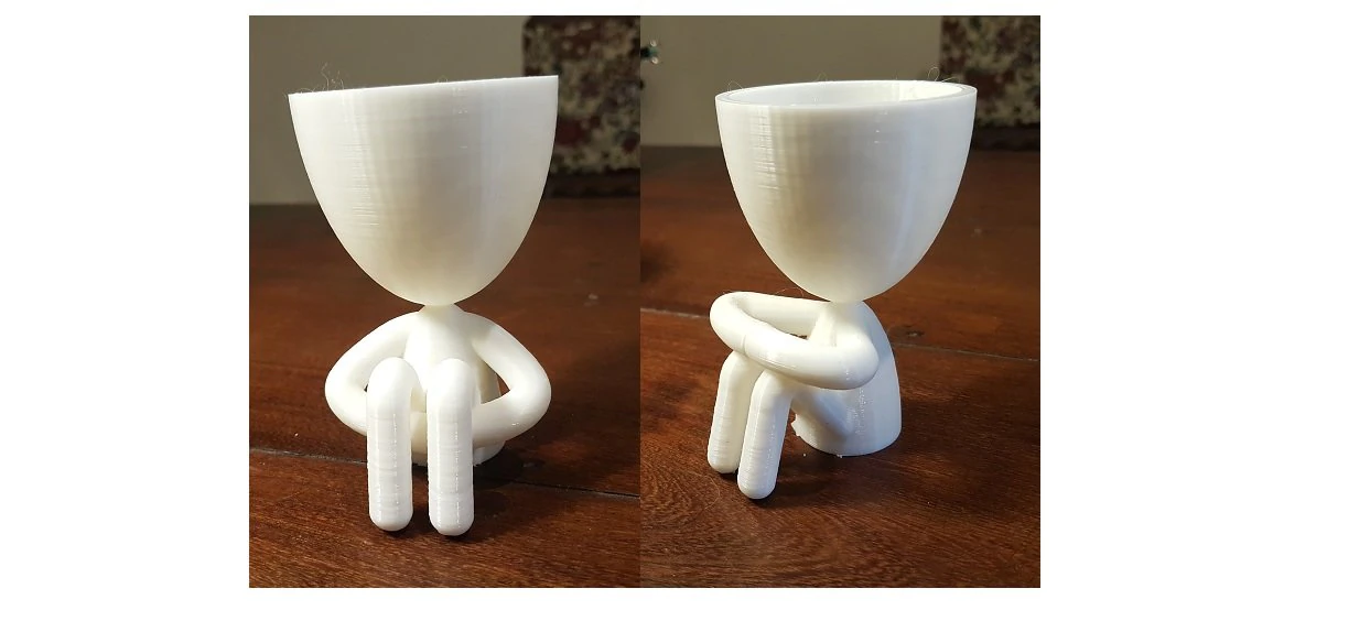 масета Роберт растения 3D Принт Модель .c4d .max .obj .3ds .fbx .stl .blend 