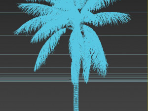 coconut tree 02 - visualworks store - vray and corona 3D Model