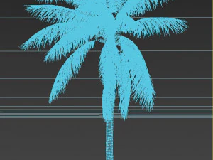 coconut tree 02 - visualworks store - vray and corona 3D Model