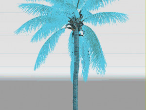 coconut tree 02 - visualworks store - vray and corona 3D Model