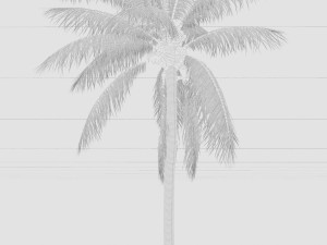coconut tree 02 - visualworks store - vray and corona 3D Model
