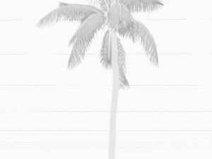 coconut tree 03 - visualworks store - vray and corona Modelo 3D