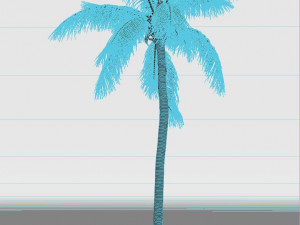 coconut tree 03 - visualworks store - vray and corona Modelo 3D