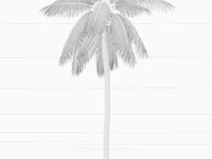 coconut tree 04 - visualworks store - vray and corona 3D Model