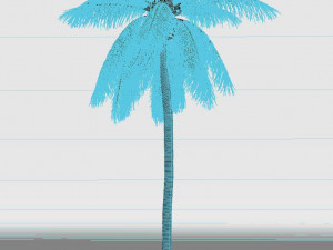 coconut tree 04 - visualworks store - vray and corona 3D Model