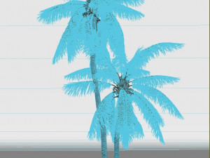 coconut tree 05 - visualworks store - vray and corona Modelo 3D