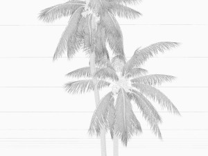 coconut tree 05 - visualworks store - vray and corona Modelo 3D