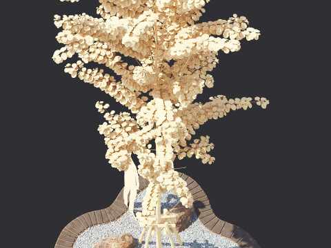 Alnus Glutinosa TREE - Tanaman Hias Corona-Vray-SKP Modelo 3D