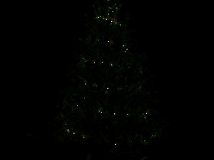 christmas tree 3D Modell