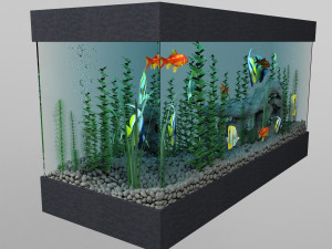 aquarium 3D Модель
