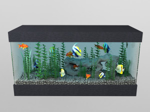 aquarium Modello 3D