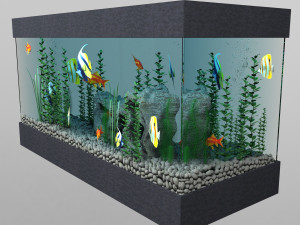 aquarium Modello 3D