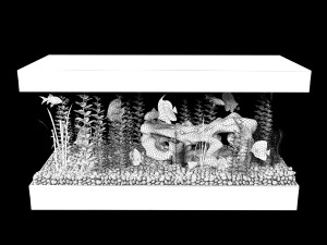 aquarium Modello 3D