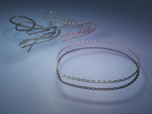 chain 3D Model