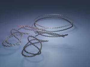 chain 3D Model