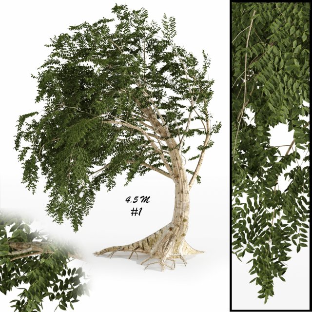 fantesy tree 3D Modell .c4d .max .obj .3ds .fbx .stl .blend 