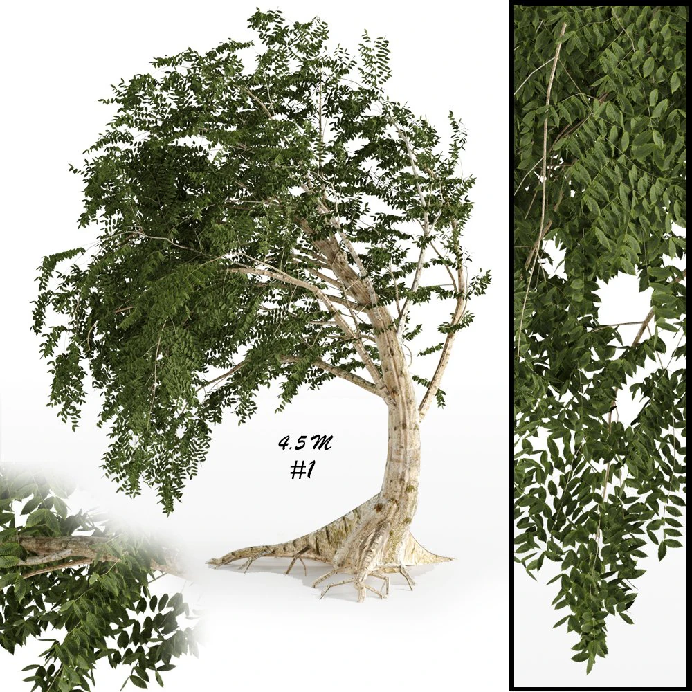 fantesy tree 3D Model .c4d .max .obj .3ds .fbx .stl .blend 