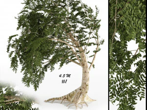 drzewo fantazji Model 3D