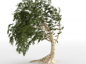fantesy tree 3D Modell