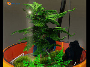 Terrarium robot 3D Model