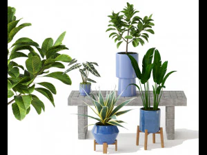 Set bunga02 Model 3D