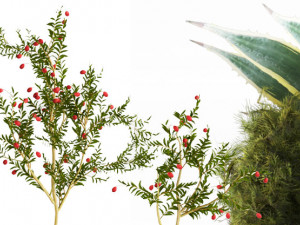 Flower set03 3D मॉडल