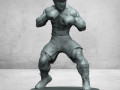 boxeador 3D 打印模型