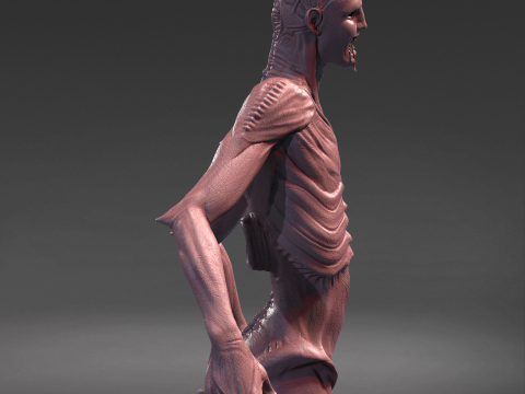 ALIEN ROMULUS XENOMORFO-HUMANO 3D Принт Модель