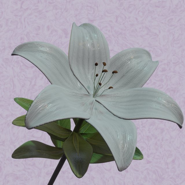 lily flower 3D 模型 .c4d .max .obj .3ds .fbx .stl .blend 