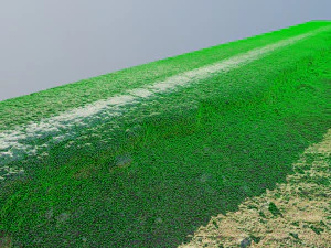 roadedge photoscanned 3D Model