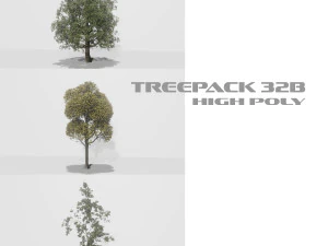 пакет дерев 24b 3D Модель