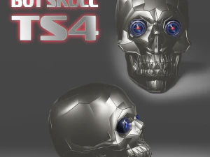 бот череп тс4 3D Модель